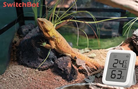 thermometer moisture meter hygrometer|best reptile thermometer hygrometer.